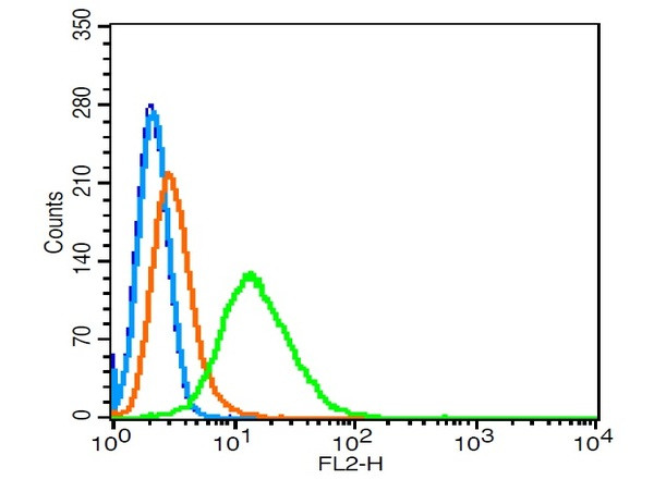 RhoA/C Antibody in Flow Cytometry (Flow)