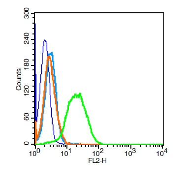 TRAF3 Antibody in Flow Cytometry (Flow)