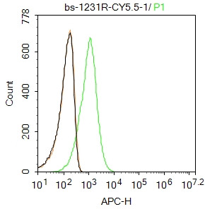 ABCG1 Antibody in Flow Cytometry (Flow)