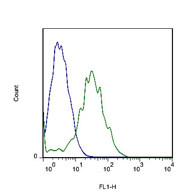 FLRT3 Antibody in Flow Cytometry (Flow)