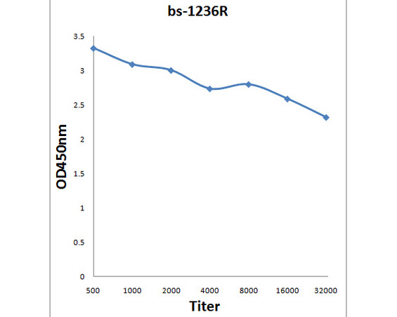 Involucrin Antibody in ELISA (ELISA)