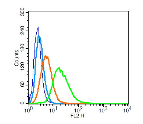 Aromatase Antibody in Flow Cytometry (Flow)