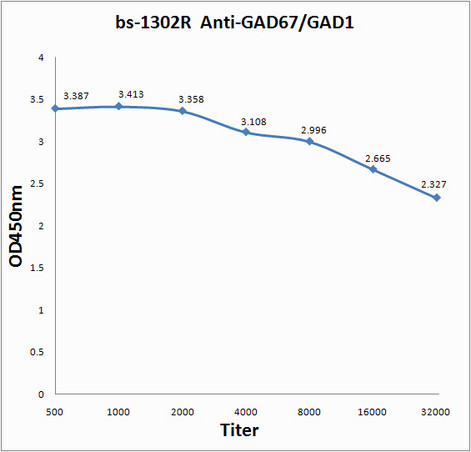 GAD67/GAD1 Antibody in ELISA (ELISA)