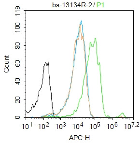 Phospho-FAK (Tyr576) Antibody in Flow Cytometry (Flow)