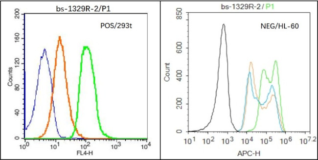 ZO-1 Antibody in Flow Cytometry (Flow)