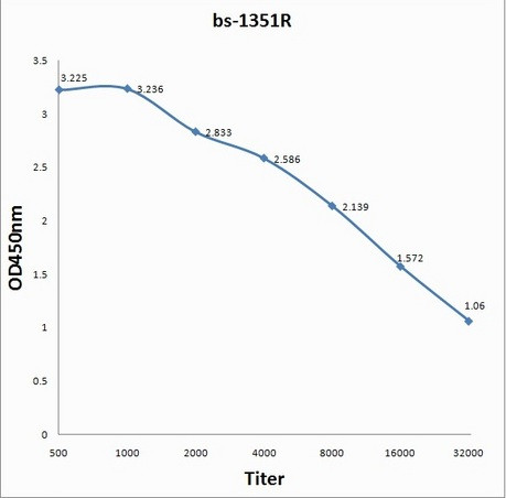 Granzyme B Antibody in ELISA (ELISA)