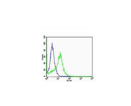 Integrin Alpha V + Beta 5 Antibody in Flow Cytometry (Flow)