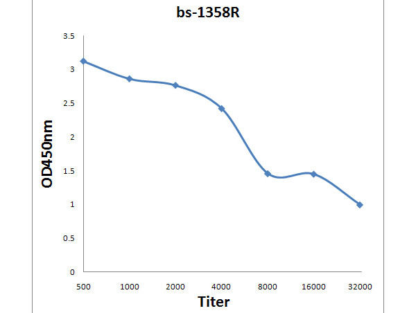 Ku-80 Antibody in ELISA (ELISA)