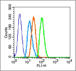 GPR30 Antibody in Flow Cytometry (Flow)