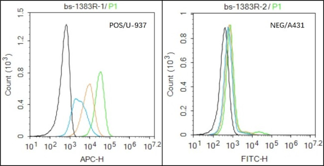 CD13/APN/ANPEN Antibody in Flow Cytometry (Flow)