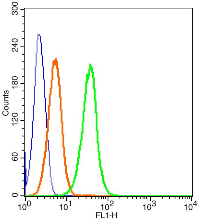 EPOR Antibody in Flow Cytometry (Flow)