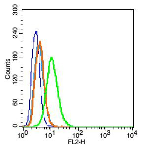 Caveolin-1 Antibody in Flow Cytometry (Flow)