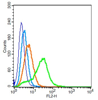 AQP1 Antibody in Flow Cytometry (Flow)