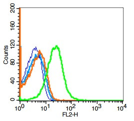 GPCR EX33 Antibody in Flow Cytometry (Flow)