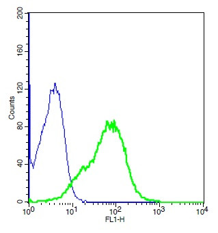 Shh Antibody in Flow Cytometry (Flow)