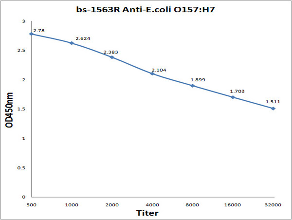 E.coli O157:H7 Antibody in ELISA (ELISA)