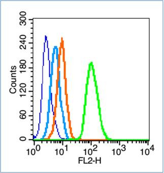 Phospho-FAK (Tyr577) Antibody in Flow Cytometry (Flow)