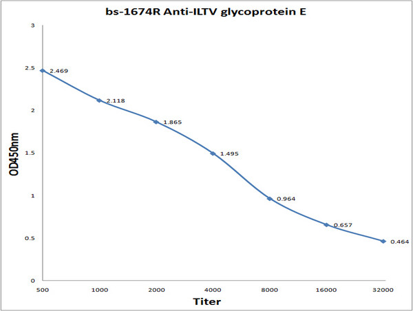 ILTV glycoprotein E Antibody in ELISA (ELISA)