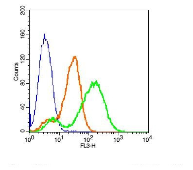 DAT/Dopamine transporter Antibody in Flow Cytometry (Flow)