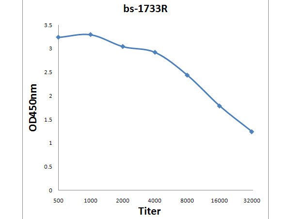 Phospho-c-Met (Tyr1365) Antibody in ELISA (ELISA)