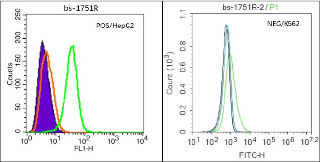 EAAT2 Antibody in Flow Cytometry (Flow)