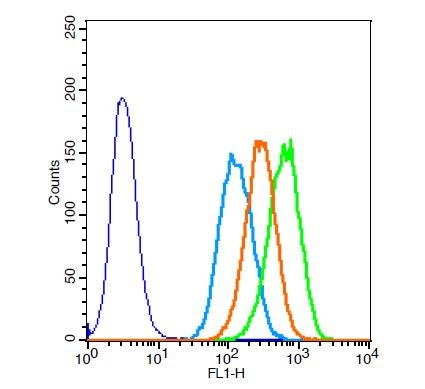 Elastin Antibody in Flow Cytometry (Flow)