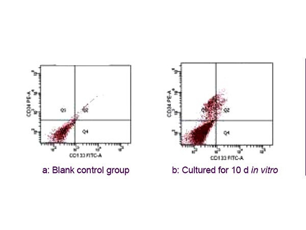 CD34 Antibody in Flow Cytometry (Flow)