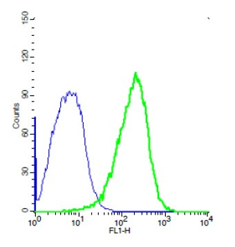 TEM1/CD248 Antibody in Flow Cytometry (Flow)