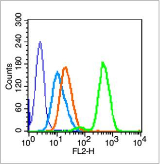 PARP1 Antibody in Flow Cytometry (Flow)