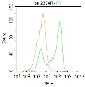 PXR Antibody in Flow Cytometry (Flow)