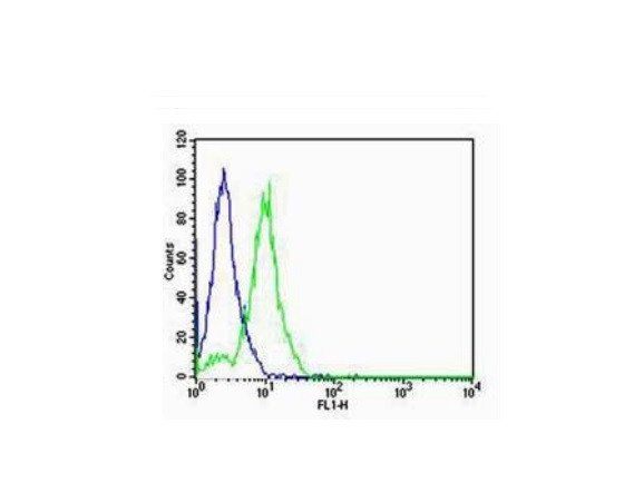 FOXA2/HNF 3beta Antibody in Flow Cytometry (Flow)