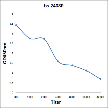 alpha Internexin Antibody in ELISA (ELISA)