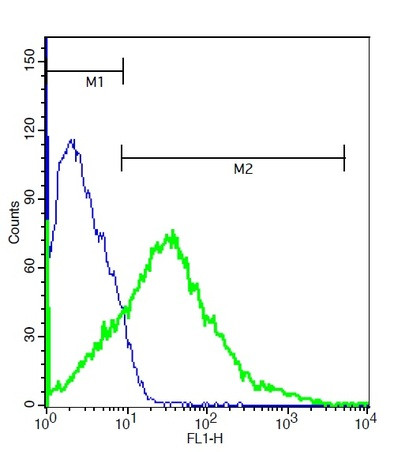 BDKRB2 Antibody in Flow Cytometry (Flow)