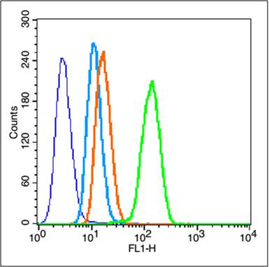 Caspase 3 Antibody in Flow Cytometry (Flow)