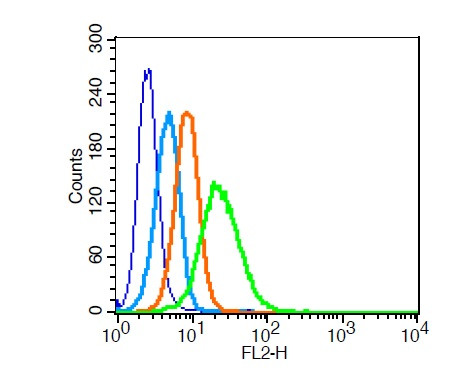 LRP1/CD91 Antibody in Flow Cytometry (Flow)