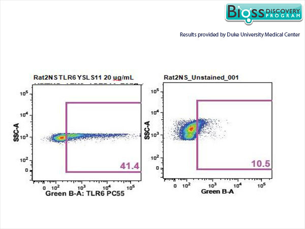 TLR6 Antibody in Flow Cytometry (Flow)