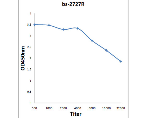 CRLF2 Antibody in ELISA (ELISA)