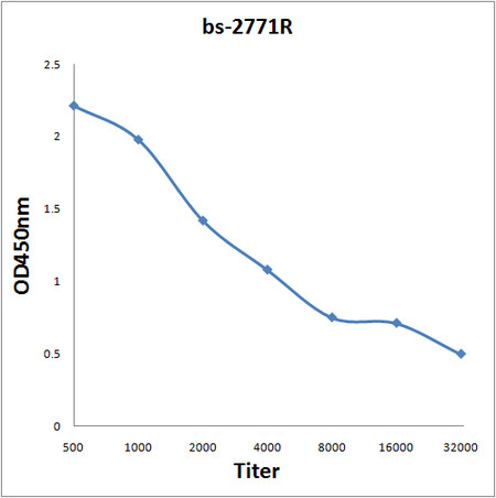 AMPK alpha 2 Antibody in ELISA (ELISA)