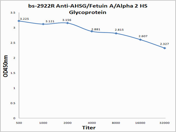 AHSG Antibody in ELISA (ELISA)