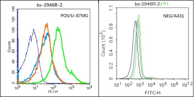 HAS1 Antibody in Flow Cytometry (Flow)