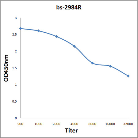 Phospho-PLB (Ser16) Antibody in ELISA (ELISA)