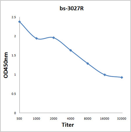 Phospho-AMPK beta 1 (Ser182) Antibody in ELISA (ELISA)