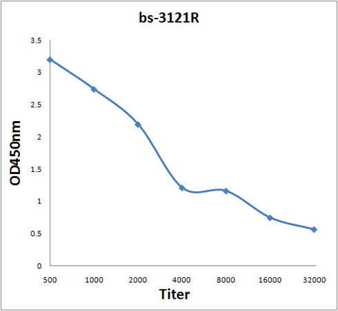 Phospho-Crk isoform 2 (Tyr221) Antibody in ELISA (ELISA)