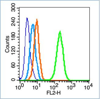 Phospho-FAK (Tyr861) Antibody in Flow Cytometry (Flow)