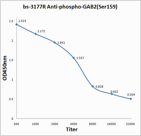 Phospho-GAB2 (Ser159) Antibody in ELISA (ELISA)