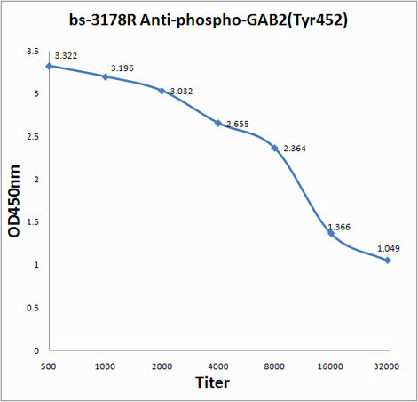 Phospho-GAB2 (Tyr452) Antibody in ELISA (ELISA)