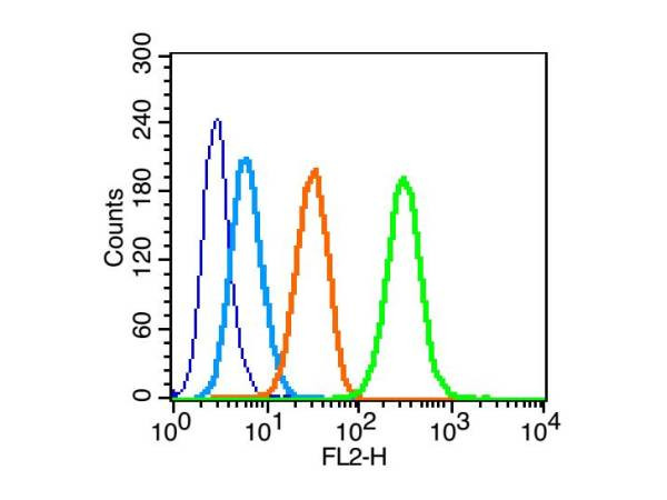 Phospho-IRS1 (Tyr612) Antibody in Flow Cytometry (Flow)