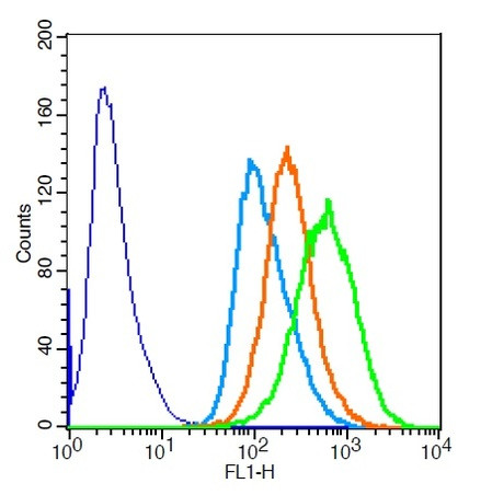 Phospho-Torc1 (Ser151) Antibody in Flow Cytometry (Flow)