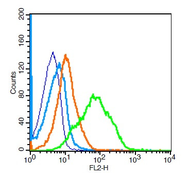 CD1d1 Antibody in Flow Cytometry (Flow)