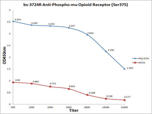 Phospho-mu Opioid Receptor (Ser375) Antibody in ELISA (ELISA)